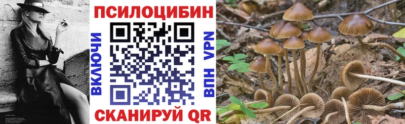 Галлюциногенные грибы Magic Shrooms  Купить где  Лысково 